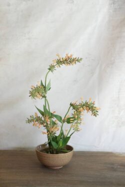 Ikebana-Style Arrangement